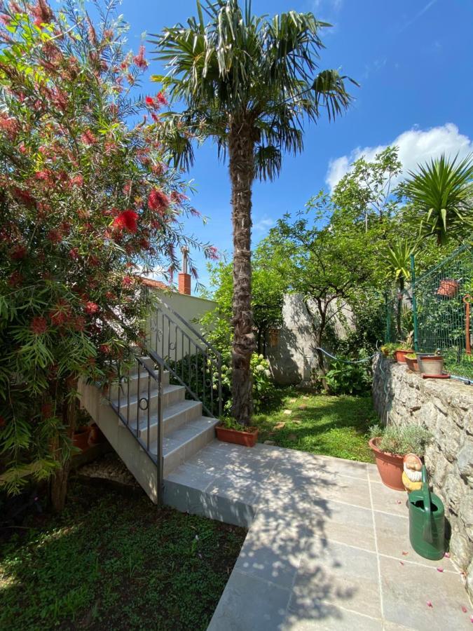 Sunny Bay Apartments Kotor Bagian luar foto