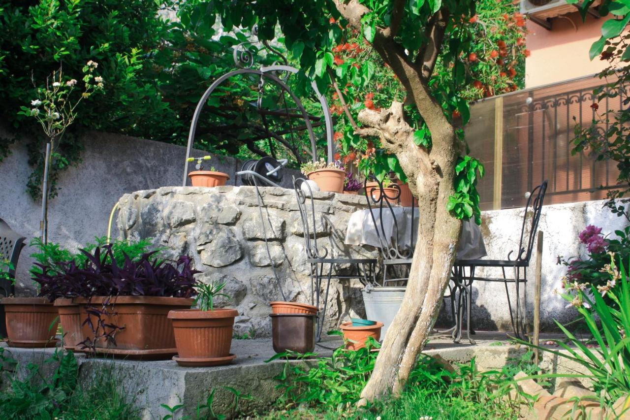 Sunny Bay Apartments Kotor Bagian luar foto