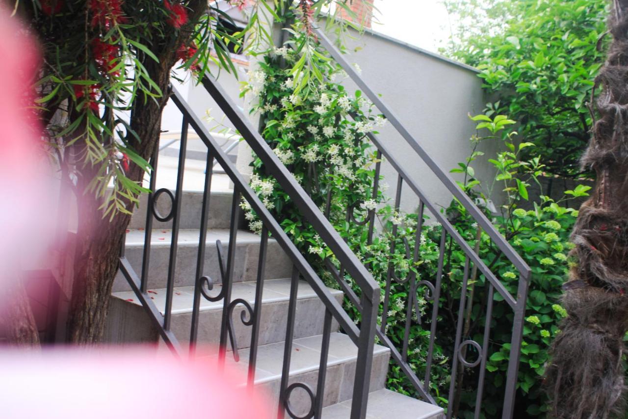 Sunny Bay Apartments Kotor Bagian luar foto