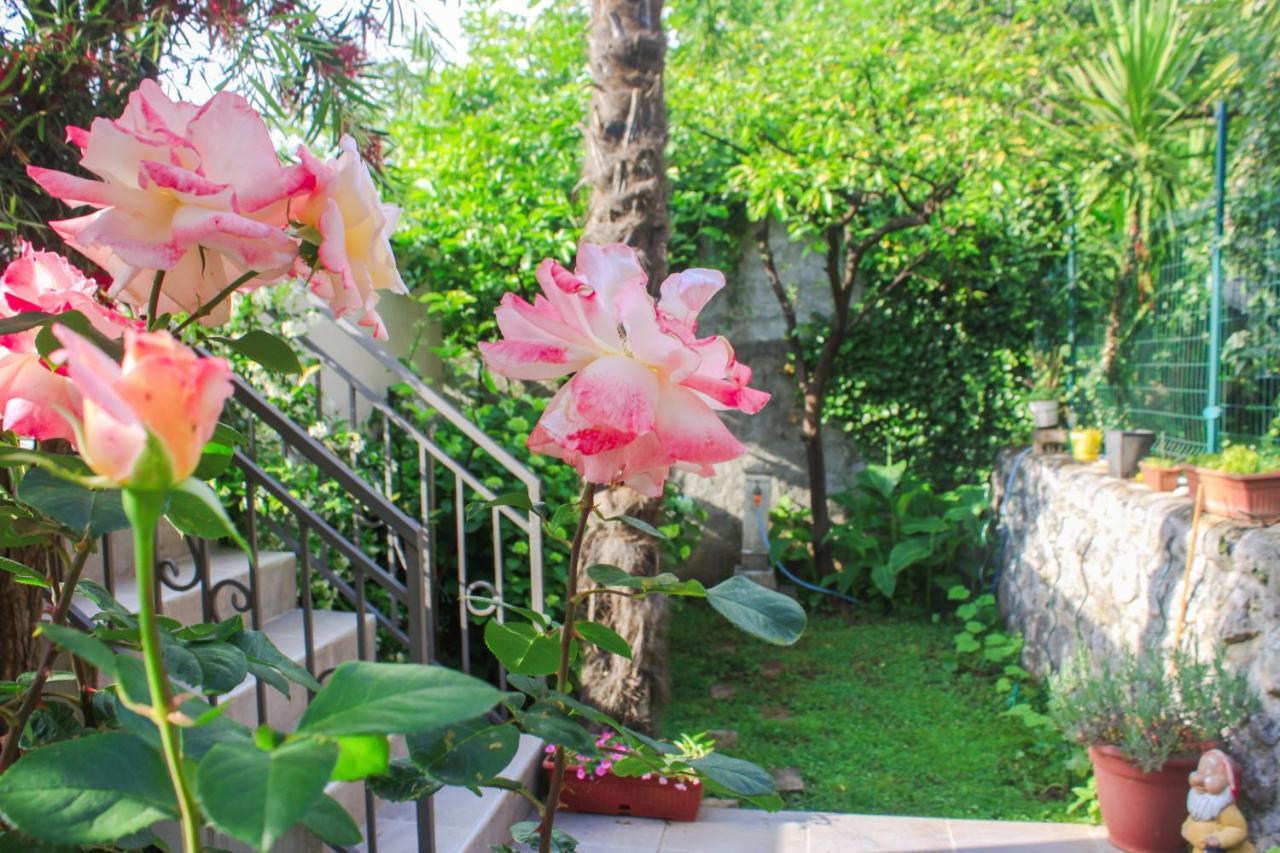 Sunny Bay Apartments Kotor Bagian luar foto