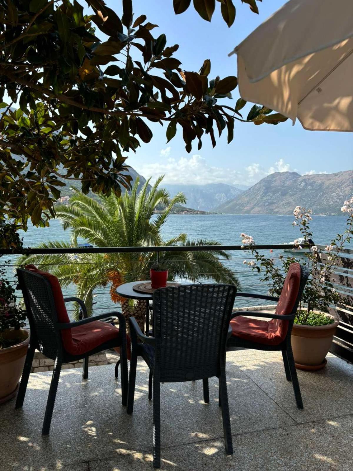 Sunny Bay Apartments Kotor Bagian luar foto