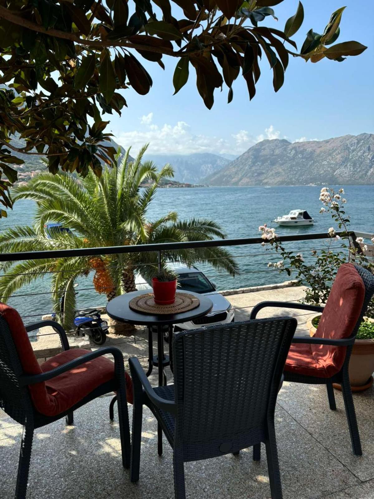 Sunny Bay Apartments Kotor Bagian luar foto